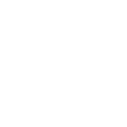 seo-report